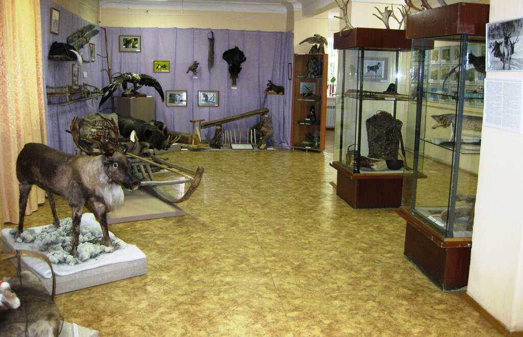 Решение о создание музея на общественных началах было принято в 1969 году Основателем музея был Терентьев Петр Иванович, коллекция которго стала основой музейного фонда В 1973 году музей получил соб