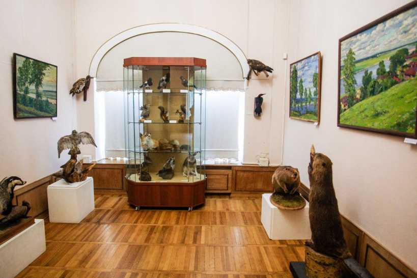 Музеи мурманска, история города северного заполярья