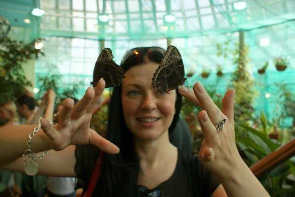 3 музея живых бабочек в санкт-петербурге