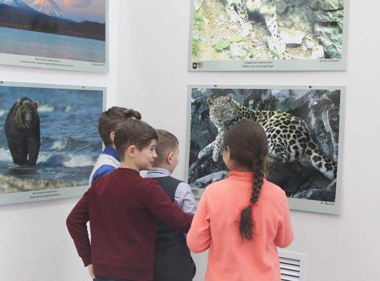 Конференция «детское изобразительное творчество как феномен современной российской художественной культуры» в рах и мцркпо