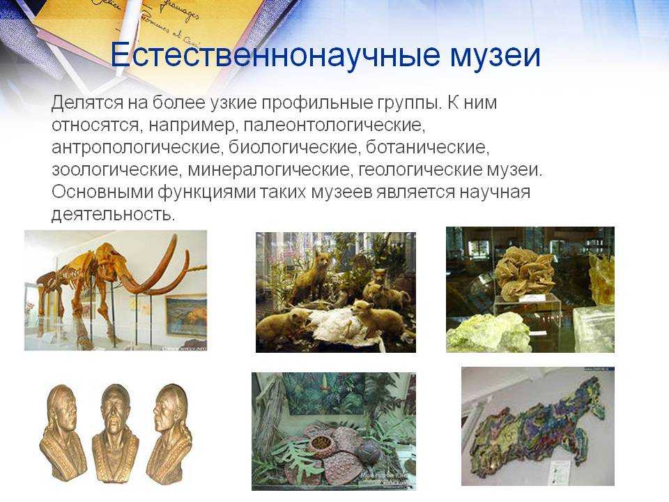 Что такое музей - определение, история, виды и особенности