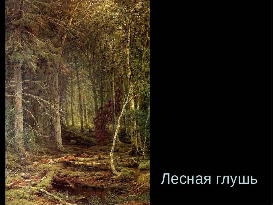 «утро в сосновом лесу» шишкин иван иванович. описание картины