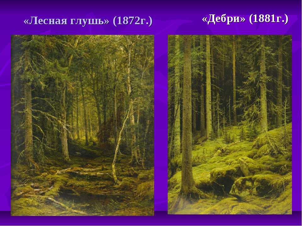 Сочинение по картине «утро в сосновом лесу» и. и. шишкина