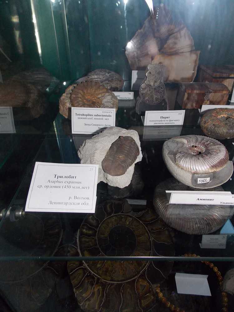 Лучшие археологические музеи-заповедники россии • все о туризме