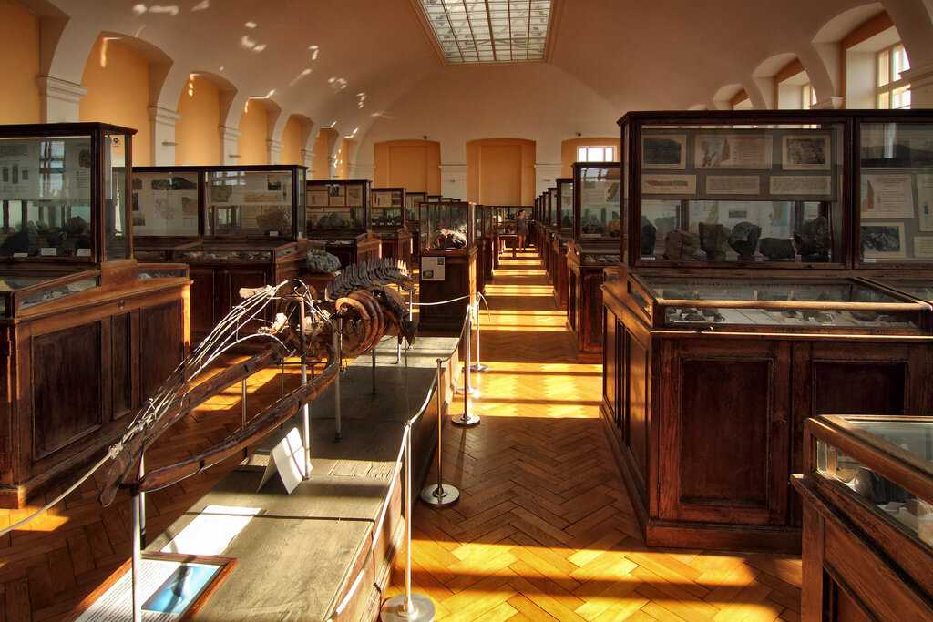 Почему стоит посетить государственный геологический музей в. и. вернадского