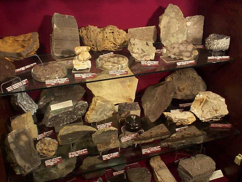 С 1968 г в городе Сыктывкаре работает геологический музей имени АА Чернова - первооткрывателя Печорского каменноугольного бассейна Отличительная особенность -  региональная направленность почти в