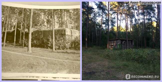 Секретные цитадели: нацистские бункеры, о которых стало известно только после войны. 21.by