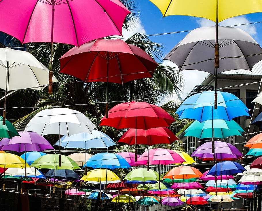 Зонтики (ренуар) - the umbrellas (renoir) - abcdef.wiki
