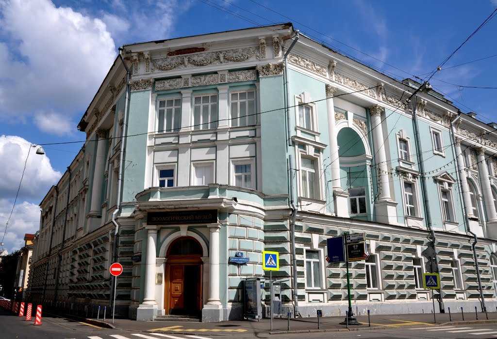 Государственный научно-исследовательский музей архитектуры имени АВ Щусева был создан 1 января 1964 г и  является единственным музеем архитектуры в России Фонды музея насчитывают более 800000 еди