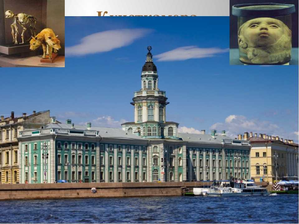 1 музей санкт-петербурга — кунсткамера: редкости и культура людей
