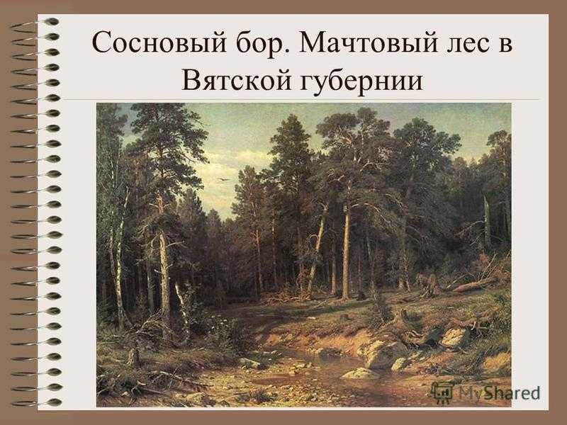 Картина шишкина сосновый бор. мачтовый лес в вятской губернии 1872 г. описание
