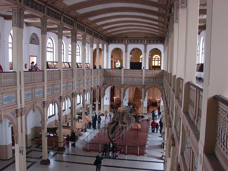 Естественно-научный музей ильменского заповедника