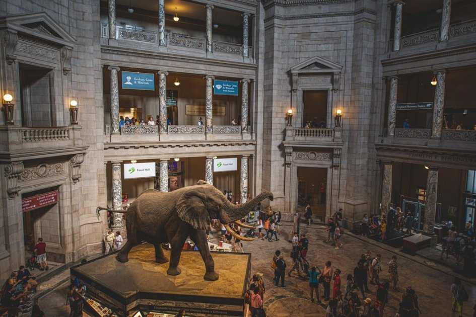 10 необычных музеев мира: впечатляющая архитектура и оригинальные выставки