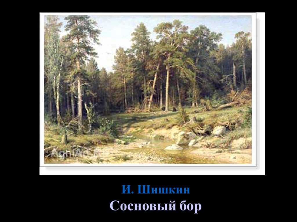 Сочинение по картине «утро в сосновом лесу» и. и. шишкина