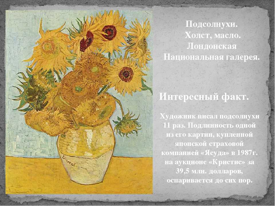 История с подсолнухами: любимые цветы ван гога и его фатальная дружба с полем гогеном