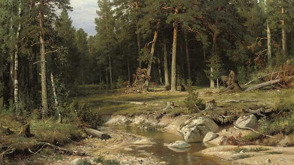 «среди долины ровныя» шишкин иван. год 1883. описание картины