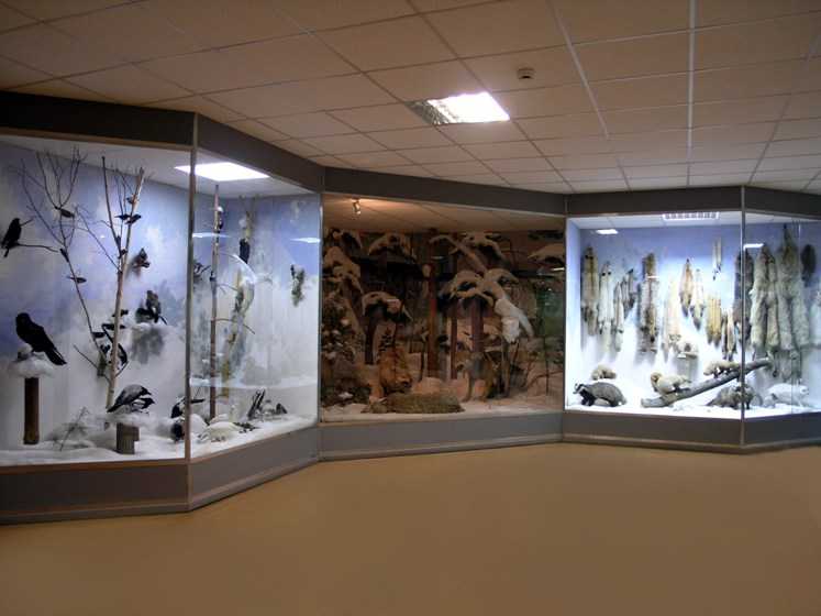 Музеи | правительство курганской области