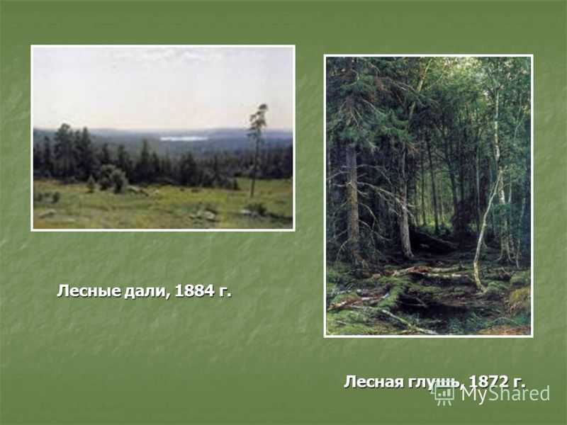 Музей шишкина в елабуге – картины, дом, сайт, фото, как добраться, отели рядом на туристер.ру