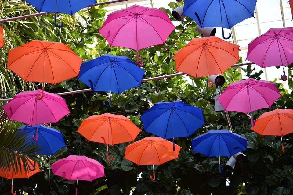 Зонтики (картина ренуара)