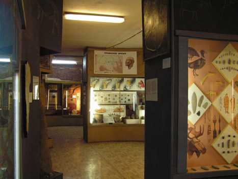 Музей истории и культуры народов сибири и дальнего востока