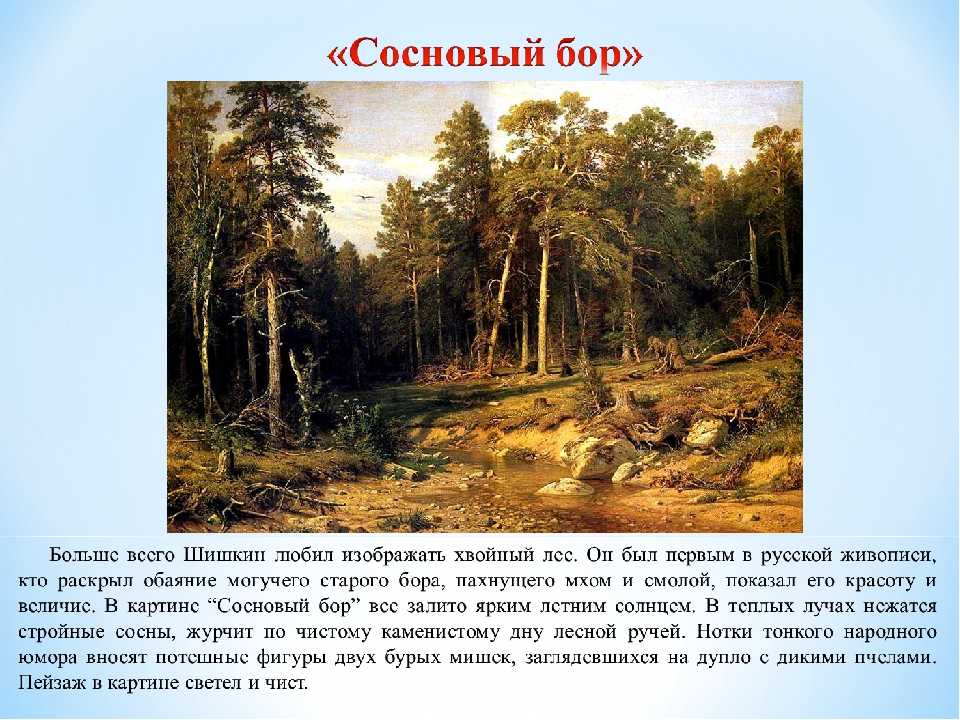 Картина шишкина сосновый бор. мачтовый лес в вятской губернии 1872 г. описание