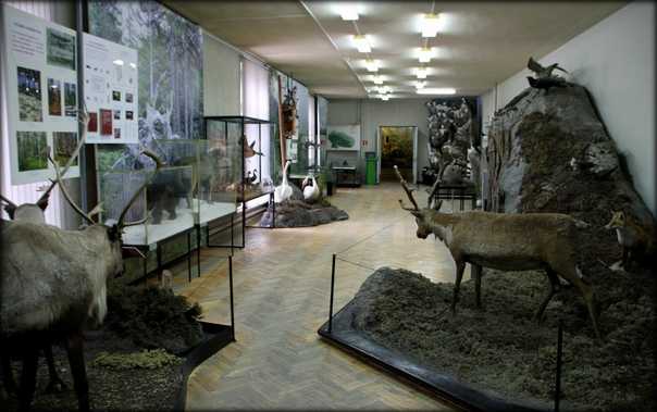 Музей истории кольских саамов | ловозерье