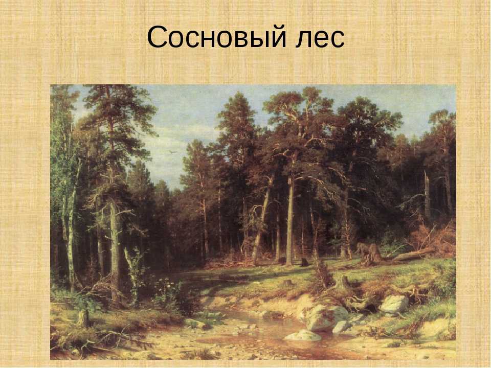 Сочинение по картине ивана ивановича шишкина "утро в сосновом лесу"