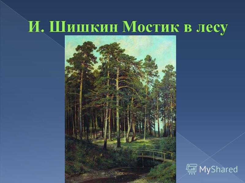 «сосновый бор. мачтовый лес в вятской губернии» шишкин. 1872. описание картины